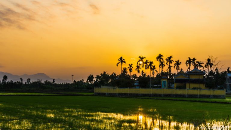 Exploring Cam Kim Island: A Tranquil Escape Near Hoi An