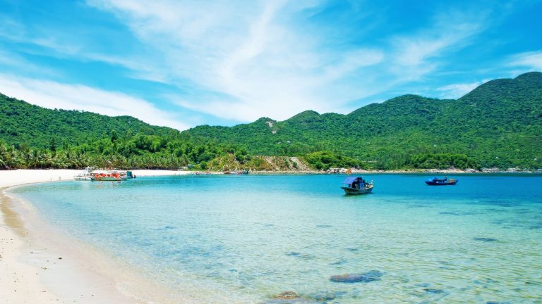 Eco-Tours to Cham Islands: Protecting Marine Life Through Responsible Tourism